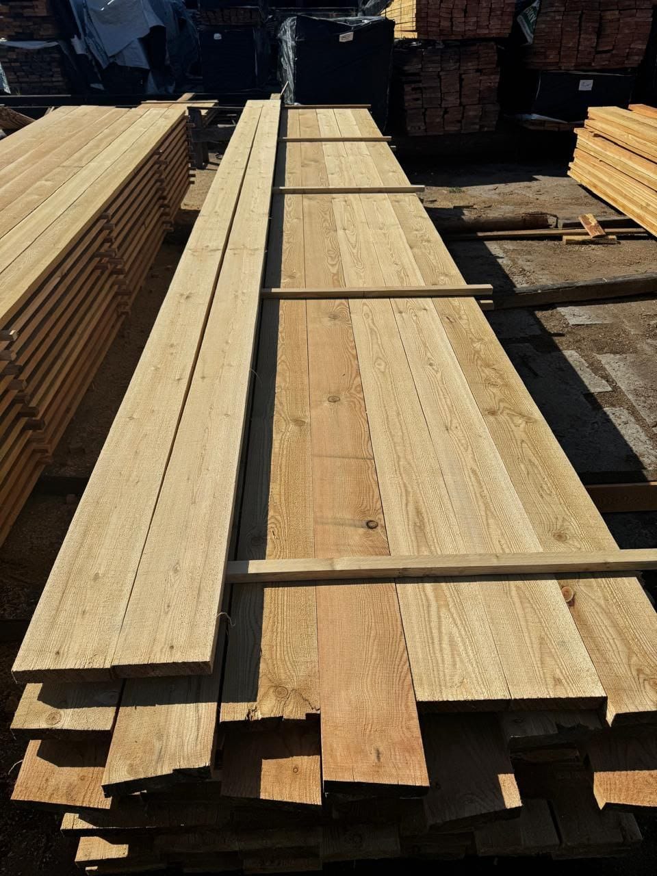 Лиственница сибирская продажа оптом от производителя. — фото 2