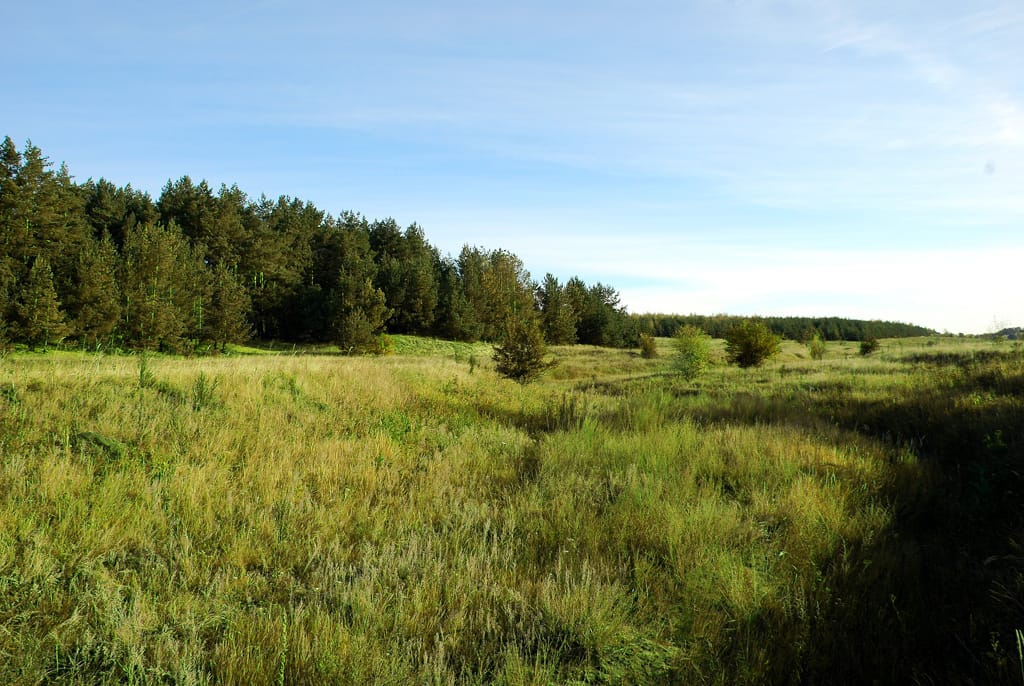 Земля у реки — фото 7