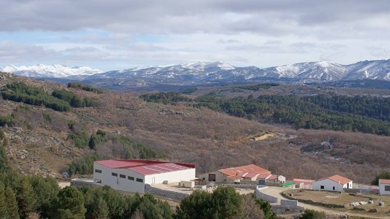 ФАБРИКА ПИВА В ИСПАНИИ — фото 2