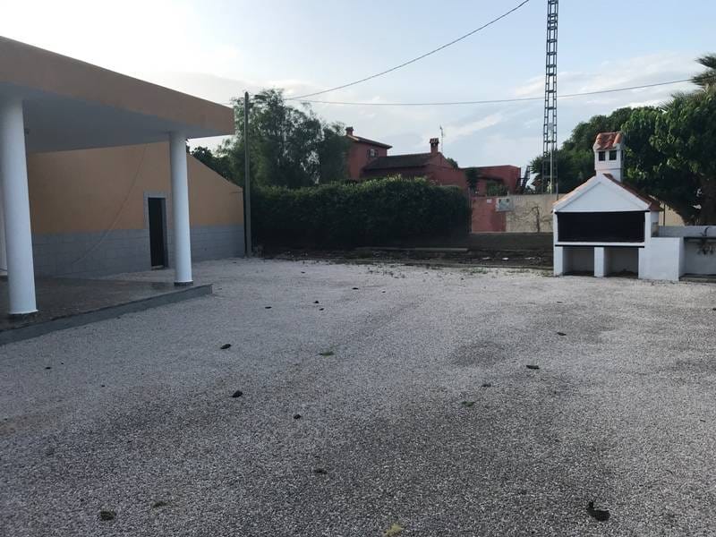 ПЛАНТАЦИЯ ЦИТРУСОВЫХ В ИСПАНИИ — фото 37