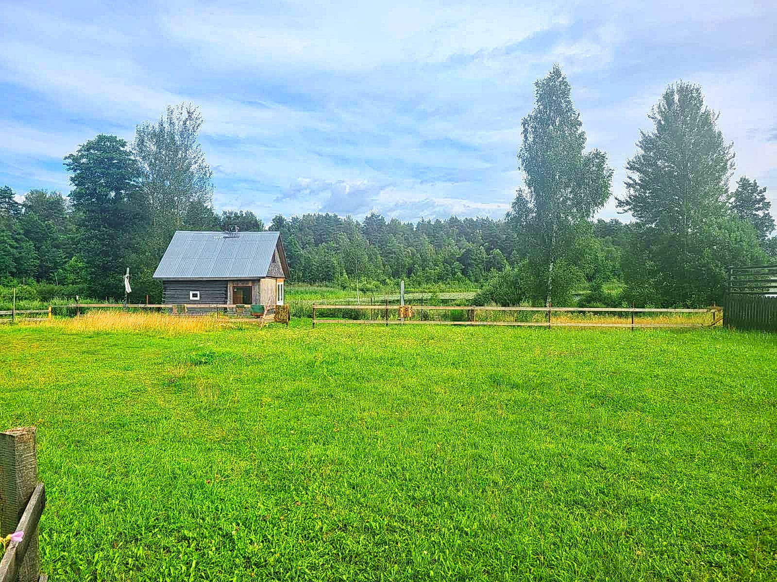 Продаётся фермерское хозяйство в Полоцком районе. — фото 9