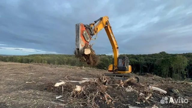 Расчистка территорий от деревьев и пней от 1 Га — фото 3