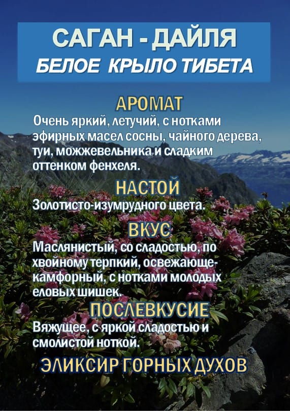 Фиточай Саган-Дайля. Белое Крыло. — фото 4