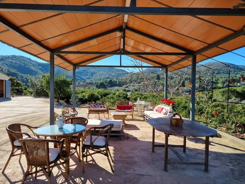 ПЛАНТАЦИЯ МАНДАРИНОВ В ИСПАНИИ — фото 22