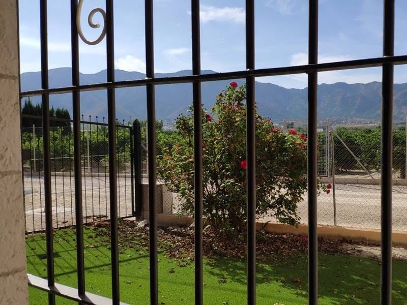 ПЛАНТАЦИЯ ЦИТРУСОВЫХ В ИСПАНИИ — фото 22