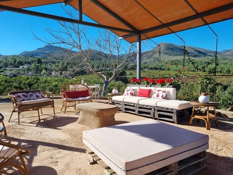 ПЛАНТАЦИЯ МАНДАРИНОВ В ИСПАНИИ — фото 21