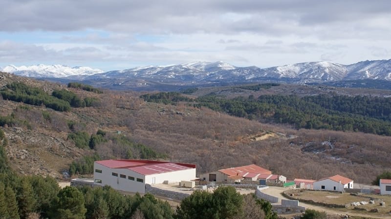 Пивоварня в Испании — фото 2