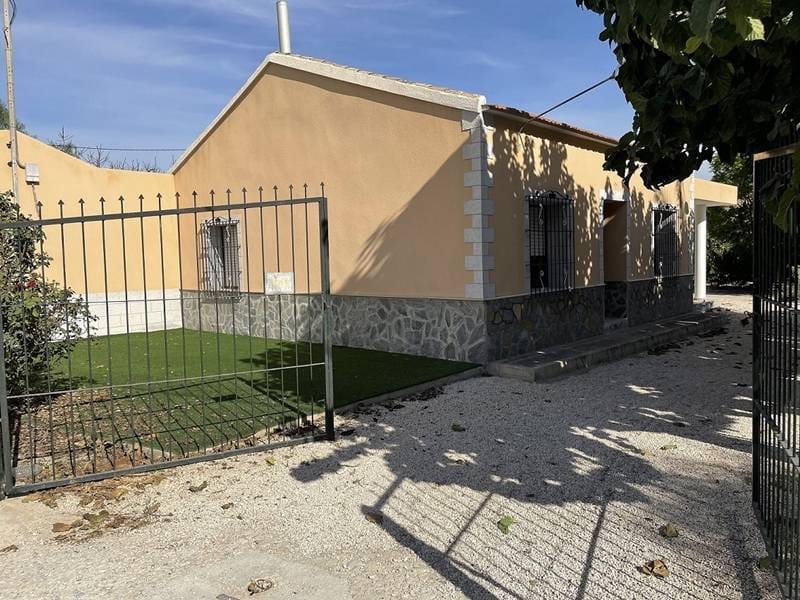 ПЛАНТАЦИЯ ЦИТРУСОВЫХ В ИСПАНИИ — фото 15