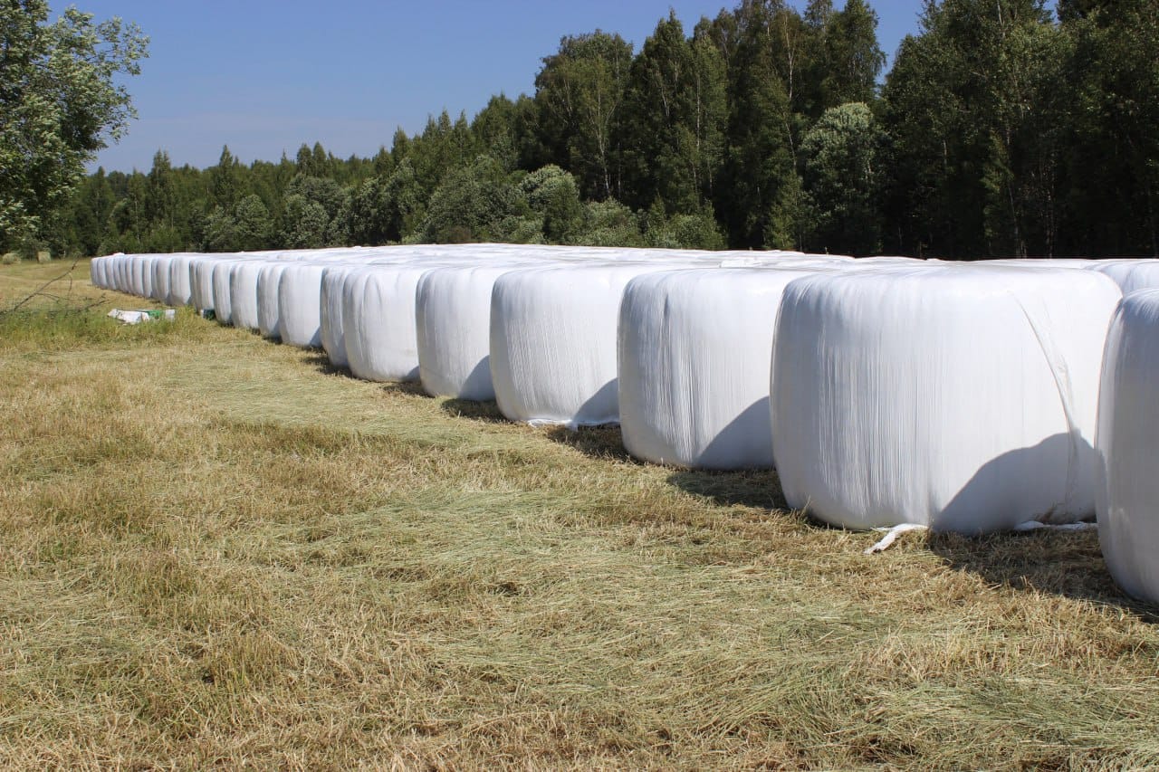Агрострейч плёнка от Лелаф для обмотки рулонов сенажа — фото 2