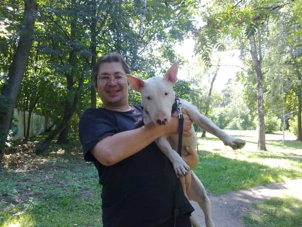 Кинолог: профессиональная дрессировка собак — фото 8