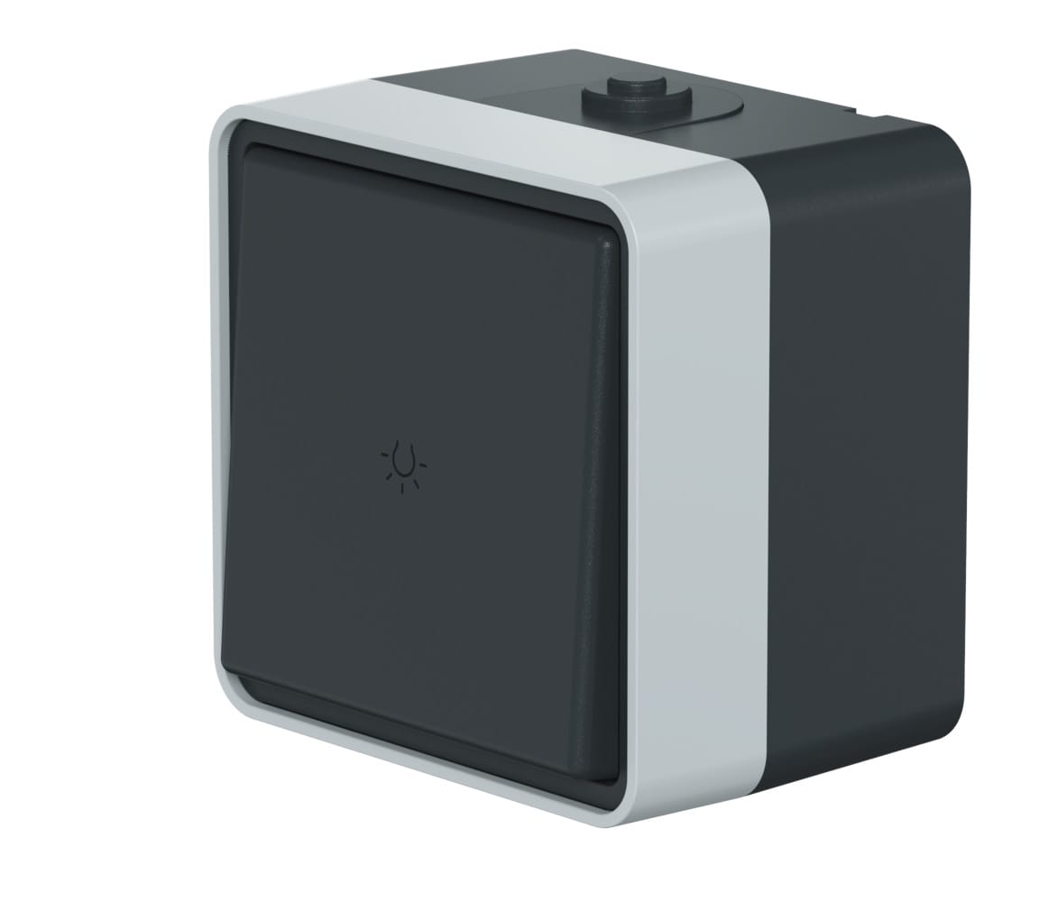 Выключатель одноклавишный кнопочный CADUCEUS ALING PROTECTA для открытой проводки, с символом "свет", 10АХ, 250В~