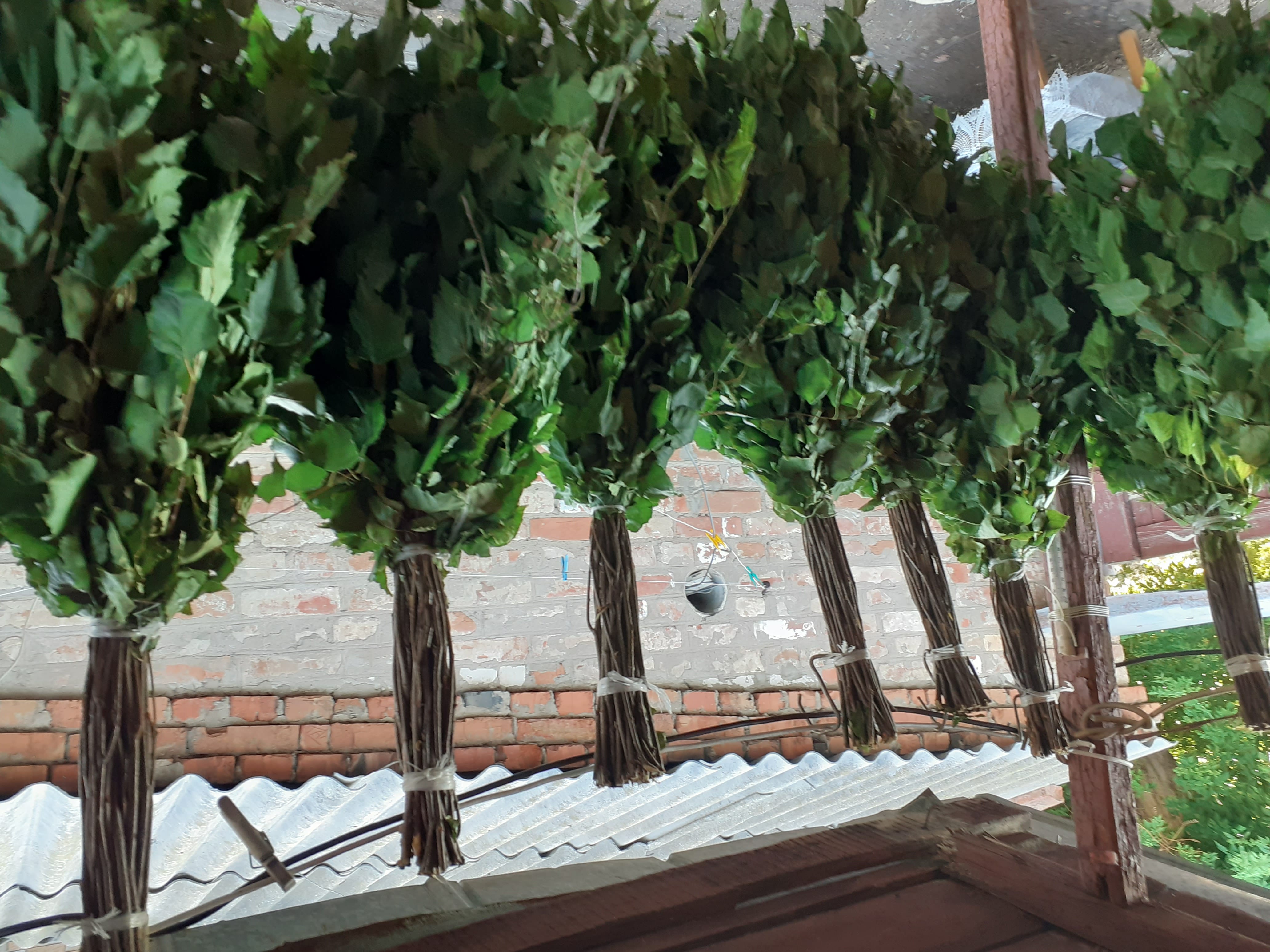 Веники для бани. — фото 5