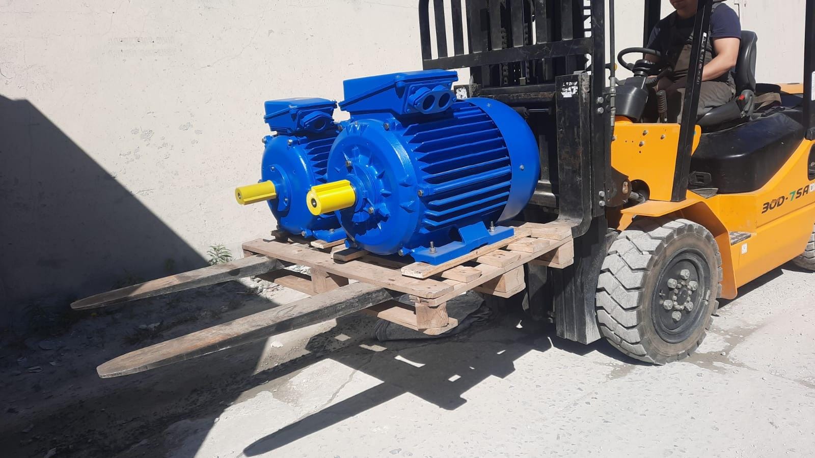 Электродвигатель АИМ180S2 (22кВт 3000 об\ мин) купить