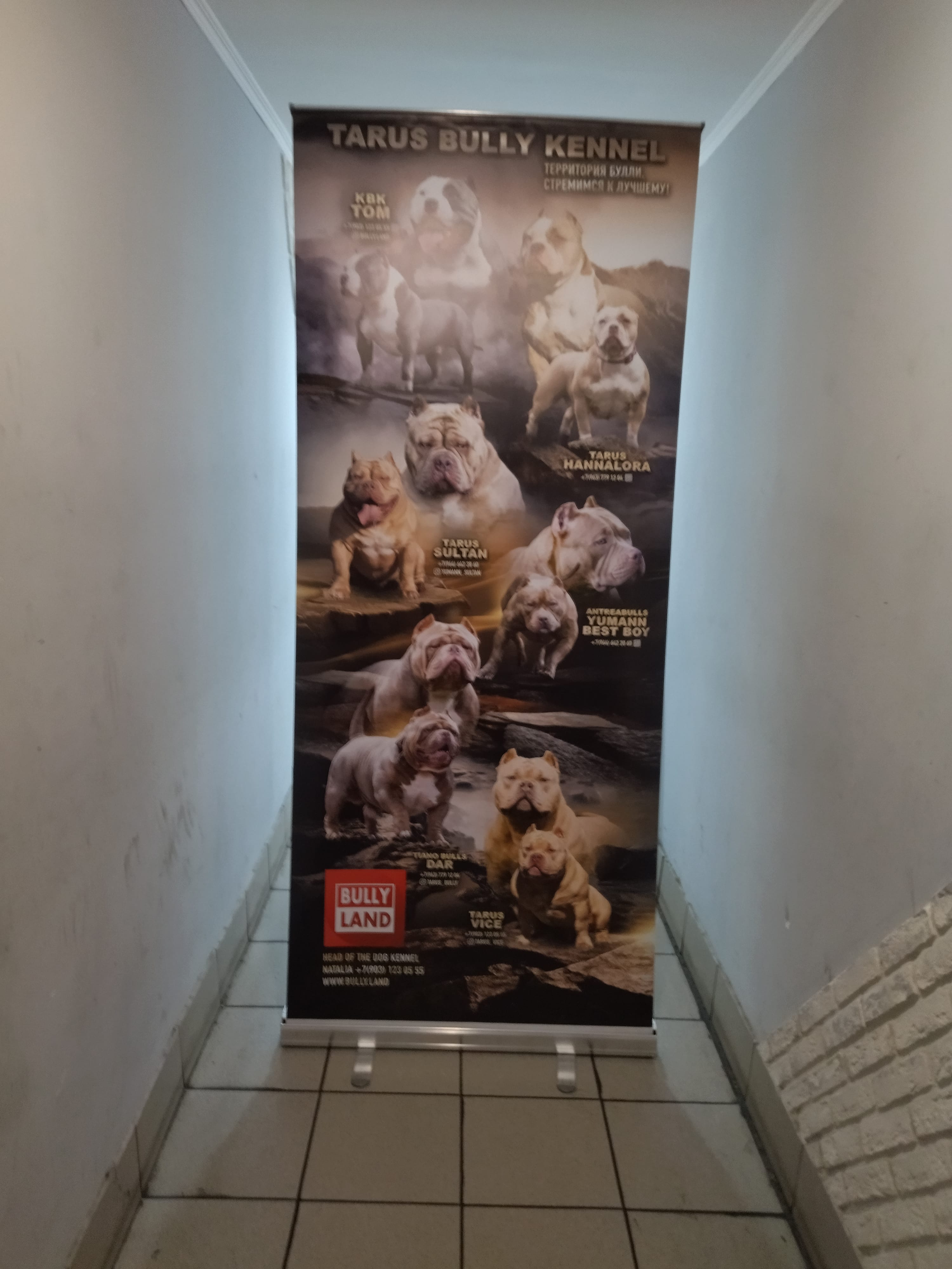 Рекламные конструкции ☎ ЮВАО +7 (495) 505-47-43, +7 (919) 102-00-24 : Стенды. Вывески. Указатели. Баннеры. Наклейки. Таблички. Щтендеры. УФ печать на любых материалах. Печать на одежде — фото 12