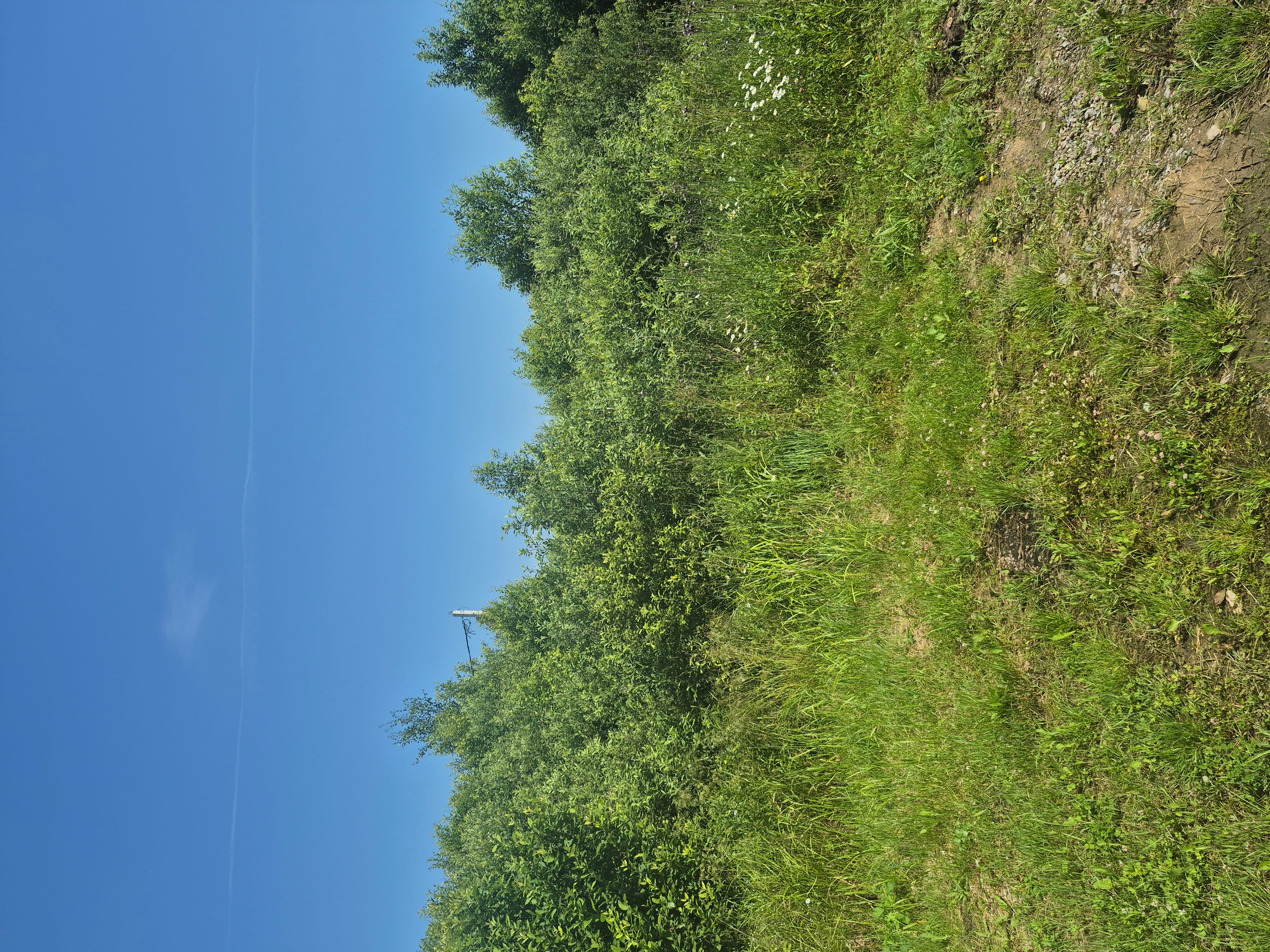 Участки в ДНП Рамецкое 40 тыс.руб.сотка, свет, дороги — фото 5