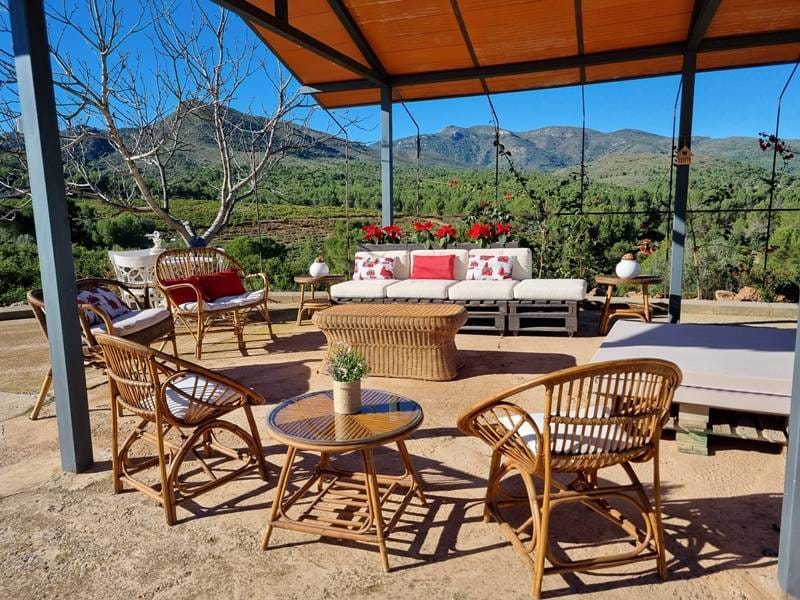 ПЛАНТАЦИЯ МАНДАРИНОВ В ИСПАНИИ — фото 20