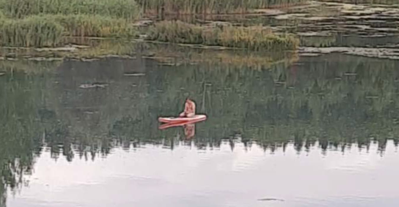 Участок ЛПХ 24 сотки с источником питьевой воды, Острогожский р-он