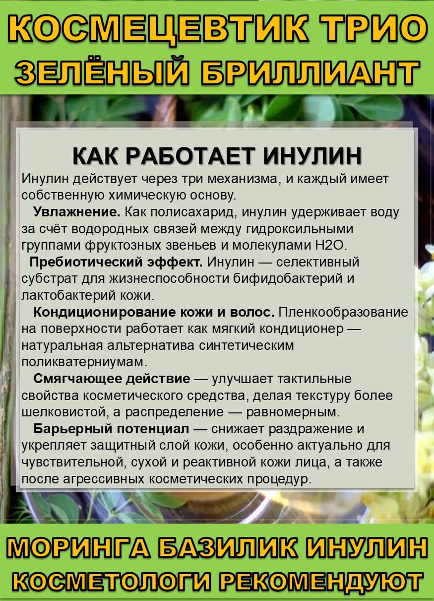 Космецевтик «Трио Зелёный бриллиант» для лица, тела и волос. Порошок листьев Моринги, Базилика и Инулин — фото 6