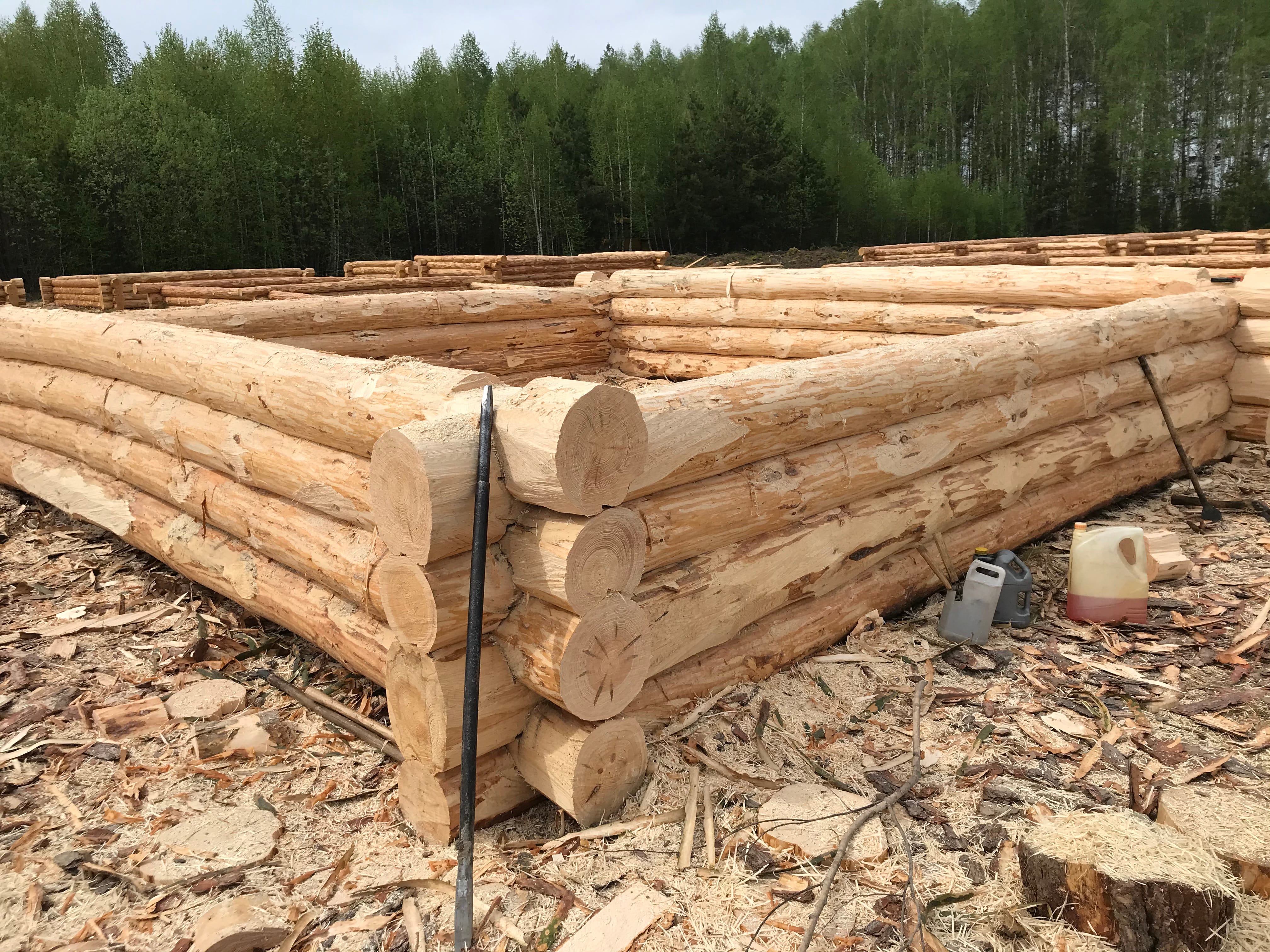 Срубы домов и бань из сосны на заказ — фото 4