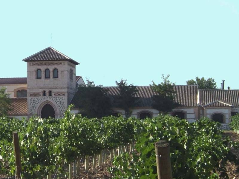 ВИНОДЕЛЬНЯ С ВИНГРАДНИКАМИ В ИСПАНИИ — фото 6