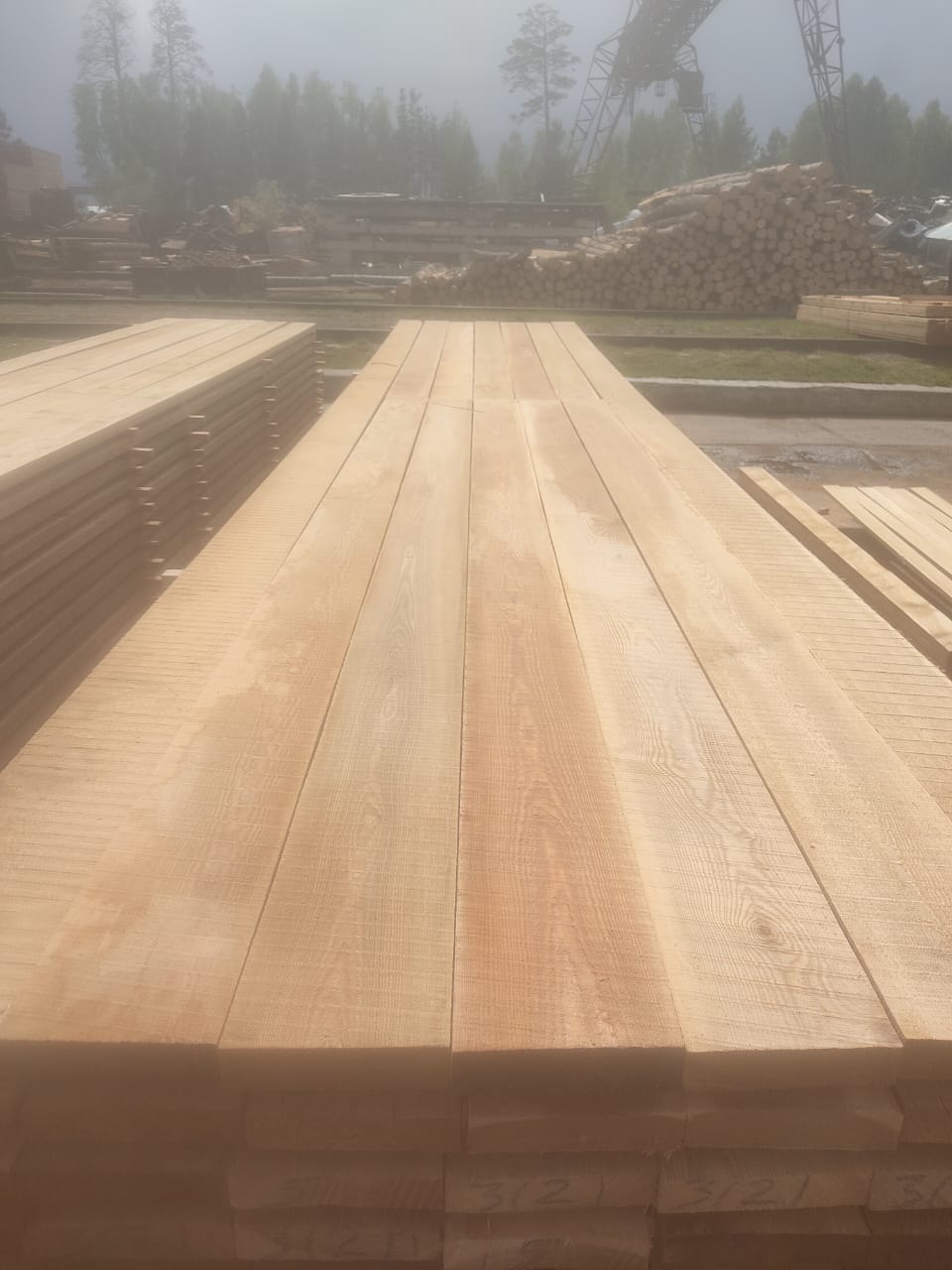 Лиственница сорт 0-1, 0-3 продажа оптом. — фото 3