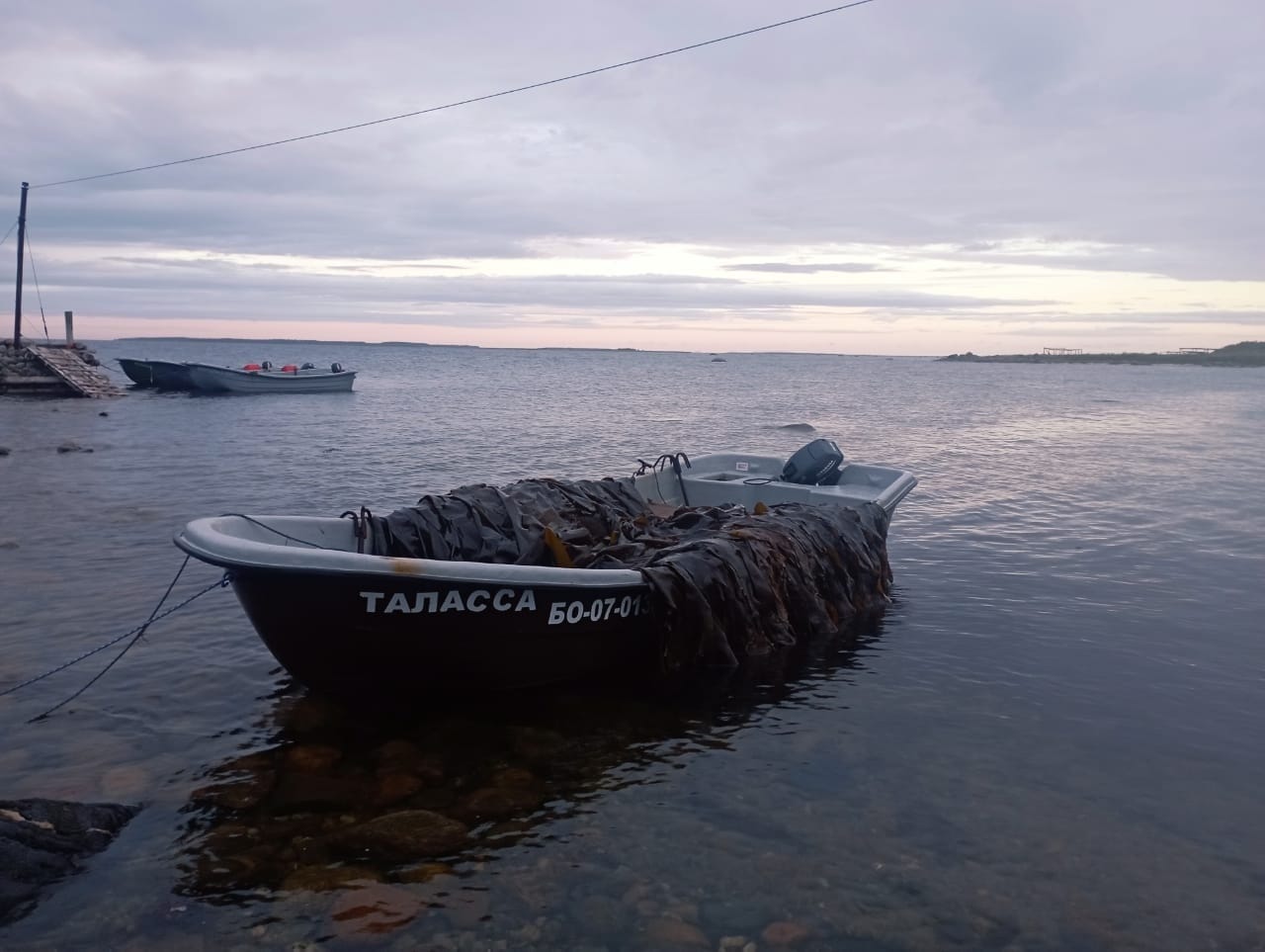 Лодка СЛК-580 Ламинария