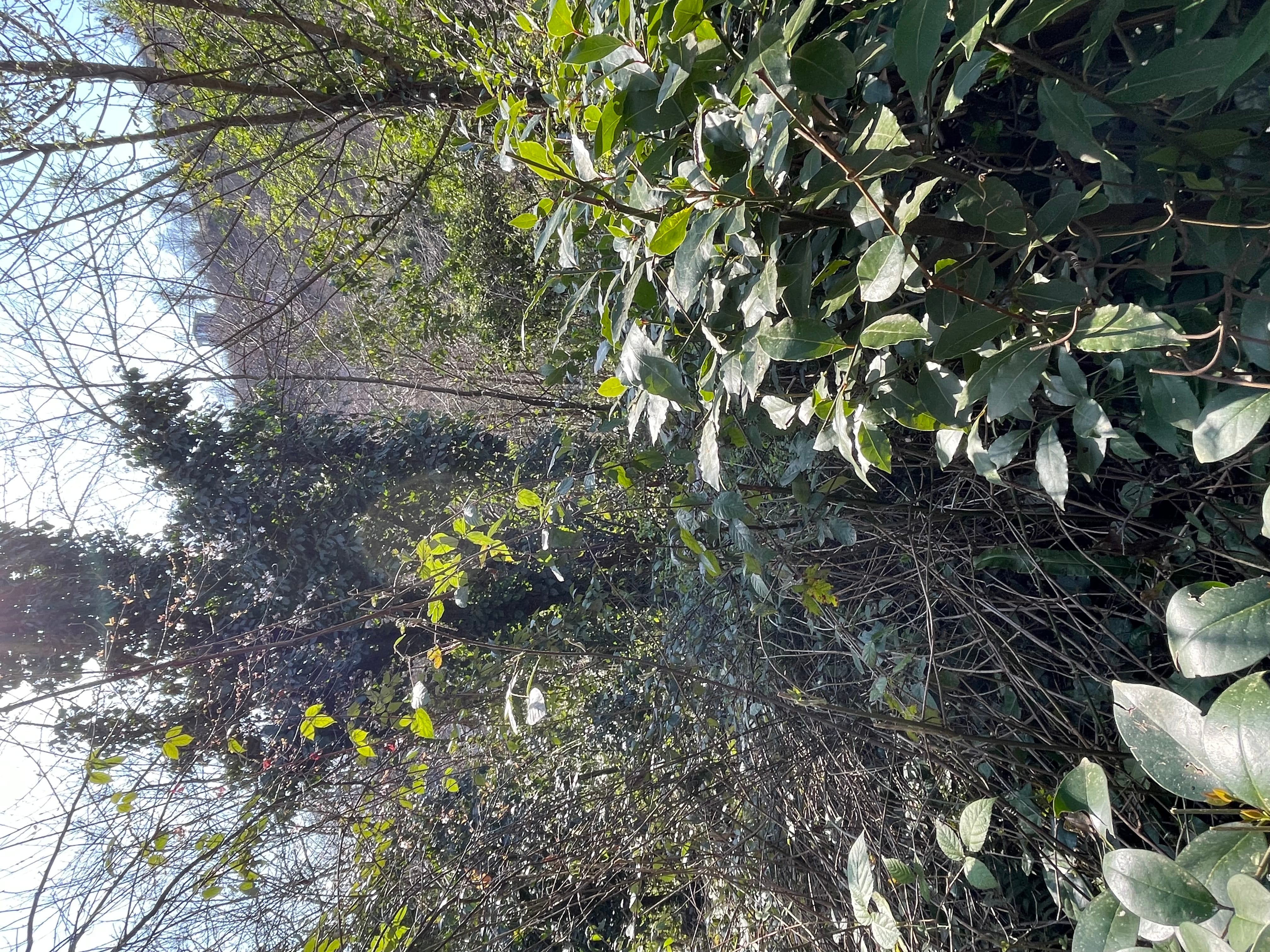 Земельный участок в Сочи — фото 3