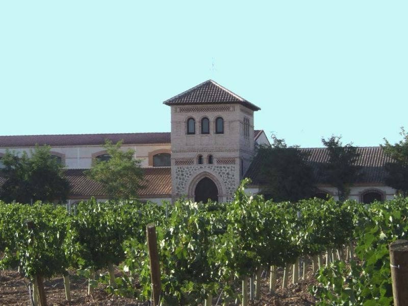 ВИНОДЕЛЬНЯ С ВИНГРАДНИКАМИ В ИСПАНИИ — фото 4